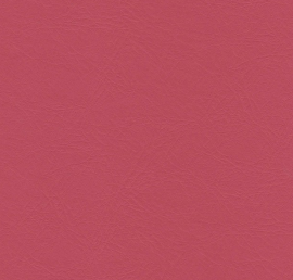 Puxx-1: Rood 9533