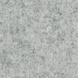 Blazer: Silverdale